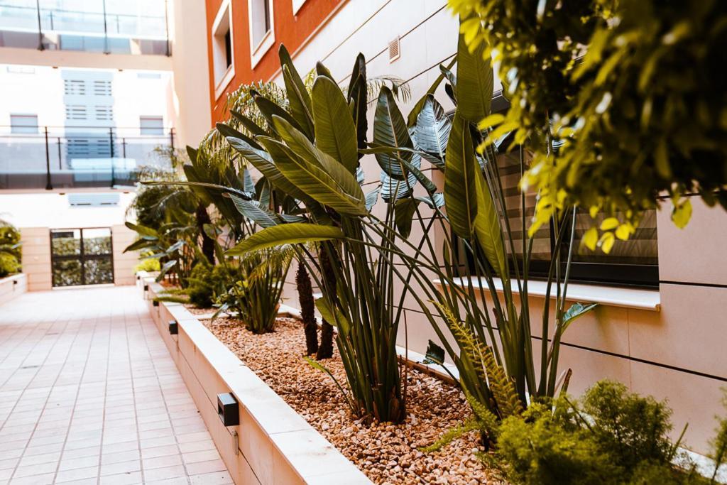 Apartmán Sol Denia Exteriér fotografie